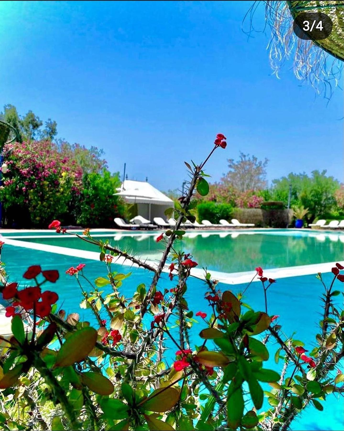 Les Jardins D Isis Otel Marakeş Dış mekan fotoğraf